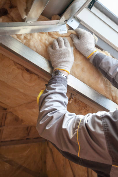 Best Insulation Replacement Services  in Sonora, CA